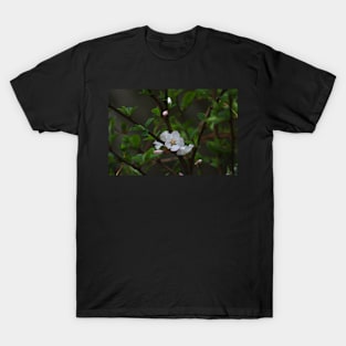 Blossom T-Shirt